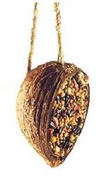 Manufacturers Exporters and Wholesale Suppliers of Coconut Shell 1 Kanpur Uttar Pradesh